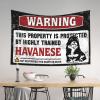 Bar for Man Cave Warning This Property is Protected by A Highly Trained Havanese Tapestry Cave Man Bar Men Decor ( Size : 75X92CM ) view 3