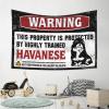 Bar for Man Cave Warning This Property is Protected by A Highly Trained Havanese Tapestry Cave Man Bar Men Decor ( Size : 75X92CM ) view 4