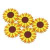 Raohui cuteRefrigeratorMagnets,Creative Mini Fridge Magnet,Nordic Home Refrigerator Magnet Message Stickers 5 (Sunflower) (Color : As Shown) view 4