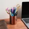 Lidwot Rose Gold 304 Stainless Steel Pen Holder & Pencil Cup, Metal Desk Caddy & Desktop Stationery Organizer, Mirror Finish & Vacuum Plating view 3