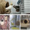 Bird Cage Straw Bird's Nest, Parakeet Perch Hideaway Shelter Hut, Keep Warm in Winter Bird Cage, Brown Hanging Bell Toys Portable view 4