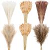 330 Pcs Dried Pampas Grass Decor, 17 Inch Dried Flower Plants Bulk White and Brown Pampas Grass Reed Bunny Tails Bouquet for Wedding Boho Home Table Decor Rustic Farmhouse Party Decoration view 1