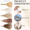 330 Pcs Dried Pampas Grass Decor, 17 Inch Dried Flower Plants Bulk White and Brown Pampas Grass Reed Bunny Tails Bouquet for Wedding Boho Home Table Decor Rustic Farmhouse Party Decoration view 2