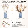 330 Pcs Dried Pampas Grass Decor, 17 Inch Dried Flower Plants Bulk White and Brown Pampas Grass Reed Bunny Tails Bouquet for Wedding Boho Home Table Decor Rustic Farmhouse Party Decoration view 3