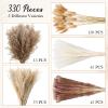 330 Pcs Dried Pampas Grass Decor, 17 Inch Dried Flower Plants Bulk White and Brown Pampas Grass Reed Bunny Tails Bouquet for Wedding Boho Home Table Decor Rustic Farmhouse Party Decoration view 4