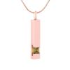 BIAIHQIE Cremation Jewelry for Ashes Crystal Bar Urn Necklace Ashes Holder Stainless Steel Cremation Urn Pendant view 1