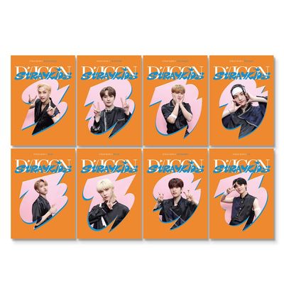 D'FESTA Mini Edition Stray Kids Display Album, Polypropylene and Polyvinyl Chloride Material, Released on Nov 25th, 2022