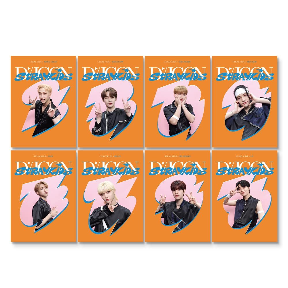 D'FESTA Mini Edition Stray Kids Display Album, Polypropylene and Polyvinyl Chloride Material, Released on Nov 25th, 2022