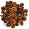 Nautical Crush Trading Scented Pine Cones Cinnamon - Pine Cones for Decorating -Variety Mix 40+ Cinnamon Pinecones Scented - Scented Pinecones - for Crafts and Vase Filler view 1