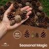 Nautical Crush Trading Scented Pine Cones Cinnamon - Pine Cones for Decorating -Variety Mix 40+ Cinnamon Pinecones Scented - Scented Pinecones - for Crafts and Vase Filler view 3