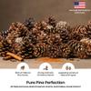 Nautical Crush Trading Scented Pine Cones Cinnamon - Pine Cones for Decorating -Variety Mix 40+ Cinnamon Pinecones Scented - Scented Pinecones - for Crafts and Vase Filler view 4