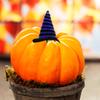 KRE Green, Orange, Purple Halloween Hat Picks 3 Counts and Black Decorative Mesh Tube 36 Feet for Halloween Flower Pot Wreath Fall Decoration Crafting DIY Arts Material Supplies Holiday Pack of 4 view 3