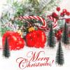 10pcs Christmas Trees Snow Covered Pine Ornaments Home Party Bar Tabletop Decor Christmas Village Display view 3