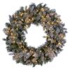 Vickerman 60" Frosted Douglas Fir Artificial Pre-Lit Wreath, Warm White 3mm LED Wide Angle Lights. view 1