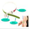 Mid-Upper Arm Circumference MUAC Tape Measure Adults 18+, Pregnant, Postpartum to Evaluate Severe Malnutrition, Color Coded with End Insert, Plastic (Pack of 50) view 2