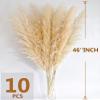 46" inch 10 Stems Natural Pampas Grass Decor Tall, Pompas Grass, Tall Pampas Grass for Weddingm, Farmhouse, Boho Home Decor (Ivory) view 2