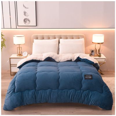 ZTGL Super Warm Lamb Wool Queen Size Quilt Winter Blanket Double-Sided Velvet Quilt Thickened Warm Autumn Spring Plush Comforter Core, Soft and Breathable Blanket,Blue a,200x230cm(4.5kg)