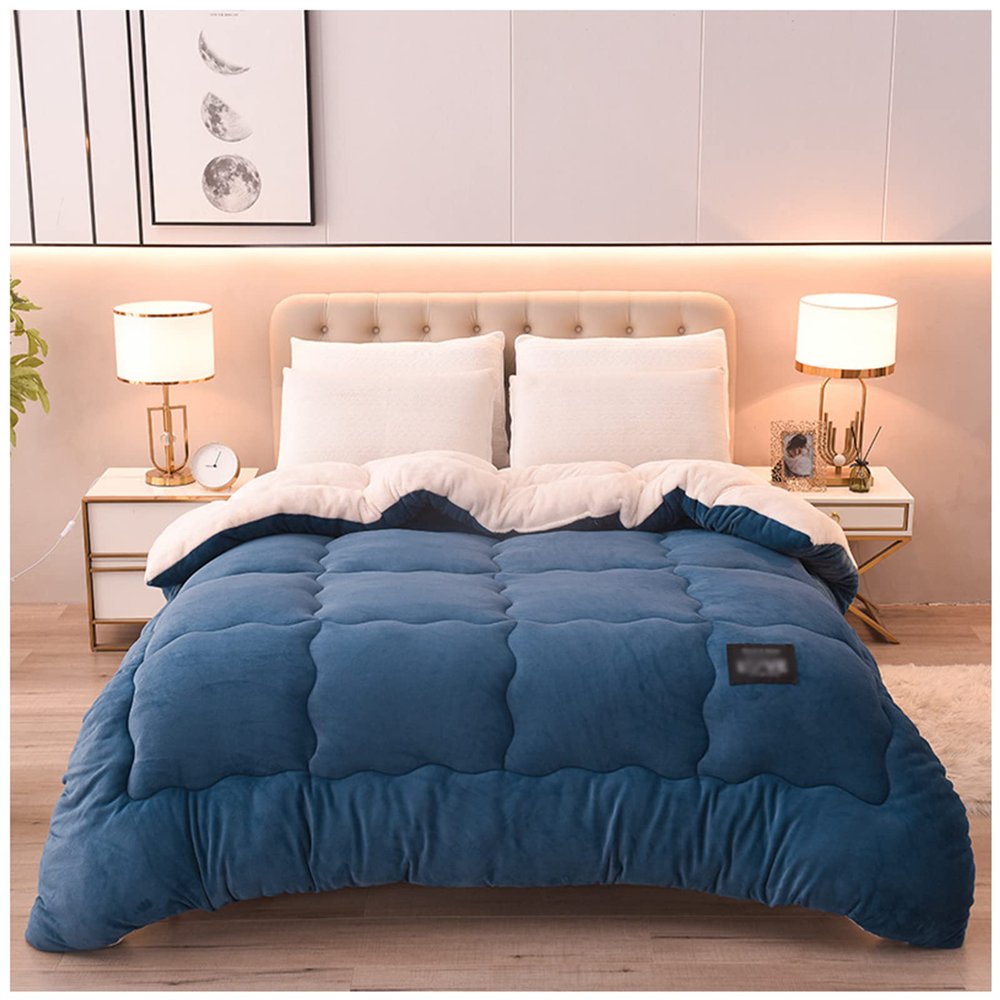 ZTGL Super Warm Lamb Wool Queen Size Quilt Winter Blanket Double-Sided Velvet Quilt Thickened Warm Autumn Spring Plush Comforter Core, Soft and Breathable Blanket,Blue a,200x230cm(4.5kg)