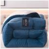 ZTGL Super Warm Lamb Wool Queen Size Quilt Winter Blanket Double-Sided Velvet Quilt Thickened Warm Autumn Spring Plush Comforter Core, Soft and Breathable Blanket,Blue a,200x230cm(4.5kg) view 2