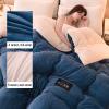 ZTGL Super Warm Lamb Wool Queen Size Quilt Winter Blanket Double-Sided Velvet Quilt Thickened Warm Autumn Spring Plush Comforter Core, Soft and Breathable Blanket,Blue a,200x230cm(4.5kg) view 3