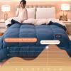 ZTGL Super Warm Lamb Wool Queen Size Quilt Winter Blanket Double-Sided Velvet Quilt Thickened Warm Autumn Spring Plush Comforter Core, Soft and Breathable Blanket,Blue a,200x230cm(4.5kg) view 4