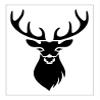 DEER HEAD Buck Face Hunting Antlers Woods 8" x 10" Reusable Stencil Sheet S623 view 2