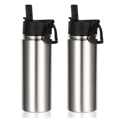 Volhoply 18oz Insulated Water Bottle Bulk 2 Pack,Kids Stainless Steel Water Bottles with Straw,Double Wall Vacuum Metal Water Bottle,Reusable Sports Water Flask For Cold Drink(Silver,2 Set)