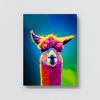 Sense Canvas Alpaca 9 Canvas Art - Home Decor Wall Art Print Poster Painting Large 30x40 / 1.5" view 4