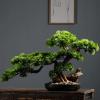 Artificial Plants Artificial Bonsai Tree, Simulation Pine Tree Potted Plant, Office DIY Decorative Bonsai, Fake Green Plant Decoration Artificial Plants, For Desktop Display Artificial Bonsai Tree view 4