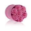 NATROSES 7 Piece Preserved Roses in a Box, Preserved Flowers for Birthday, Flower Gifts for Mothers Day (Pink) view 2
