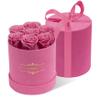 NATROSES 7 Piece Preserved Roses in a Box, Preserved Flowers for Birthday, Flower Gifts for Mothers Day (Pink) view 3