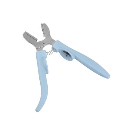TOMYEUS Pecan Nut Cracker Stainless Steel Chestnut Clip New Creative Plastic Stainless Steel Walnut Clip Sheller Chestnut Walnut Opener Kitchen Tool Walnut Plier Opener Tool (Color : Sky Blue)