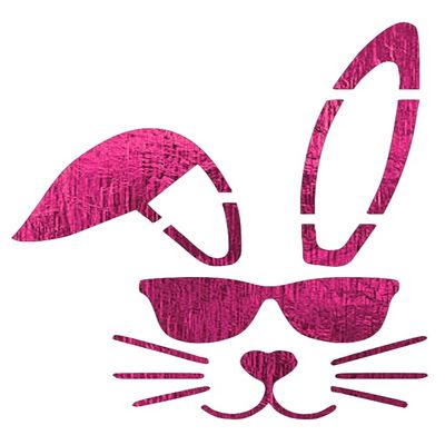 COOL EASTER BUNNY Stencil Rabbit Wearing Glasses 8" x 10" Holiday Reusable Plastic Sheet S852