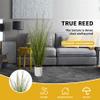 AfanD Artificial Plant 5ft(2pack) Tall Artificial Grass Plant,Faux Plants Indoor Home Decorative Artificial Plants & Flowers in Pot Fake Plant, House Plant Indoor view 4