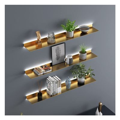 Etlegor Floating Shelves Wall Mounted, Illuminated Wall Shelf Built-in LED Light Creative Metal Display Shelves for Plant Shelf Or Bookshelf, Wall Storage Shelf Contains Only 1 Piece