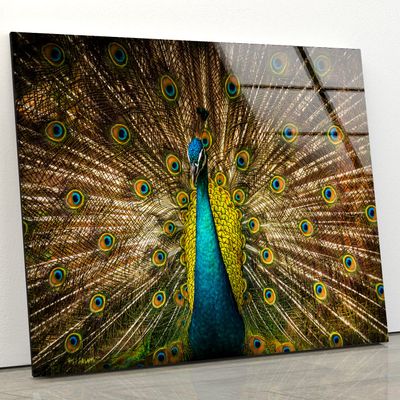 Myphotostation Peacock Wall Art Tempered Glass Wall Art 35.5Wx24H'' Feather Wall Art Modern Decor Glass Printing Large Wall Art Tempered Glass Panel Peacock Wall Decor Bird Wall Art