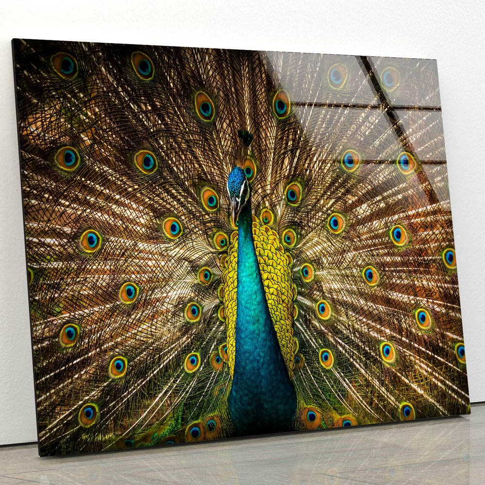 Myphotostation Peacock Wall Art Tempered Glass Wall Art 35.5Wx24H'' Feather Wall Art Modern Decor Glass Printing Large Wall Art Tempered Glass Panel Peacock Wall Decor Bird Wall Art