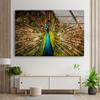 Myphotostation Peacock Wall Art Tempered Glass Wall Art 35.5Wx24H'' Feather Wall Art Modern Decor Glass Printing Large Wall Art Tempered Glass Panel Peacock Wall Decor Bird Wall Art view 3