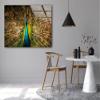 Myphotostation Peacock Wall Art Tempered Glass Wall Art 35.5Wx24H'' Feather Wall Art Modern Decor Glass Printing Large Wall Art Tempered Glass Panel Peacock Wall Decor Bird Wall Art view 4