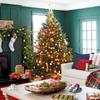 Rocky Mountain Goods Christmas Tree Food - 8 oz Tree Preservative - Reduce Needle Drop - Greener Scent - Fir, Pine, Spruce Trees - Extend Tree Life view 2