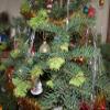 Rocky Mountain Goods Christmas Tree Food - 8 oz Tree Preservative - Reduce Needle Drop - Greener Scent - Fir, Pine, Spruce Trees - Extend Tree Life view 4