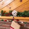 BIRDROCK HOME Christmas Stocking Holders for Mantle - Weighted Metal Hanger for Stockings & Holiday Decor - Sturdy Metal Hook for Fireplace, Staircase & Shelf - Non-Scratch Base - Dog Paw Print view 4