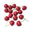 15 PCS Fake Red Cherries Artificial Fruit for Display, Kitchen Decor, Shop Decor, Props view 1