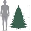 Northlight Winona Fir Artificial Christmas Tree Unlit, 5', Green view 4