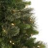Northlight Pre-Lit Kingston Cashmere Pine Full Artificial Christmas Tree Multi LED Lights, 3', Green view 4