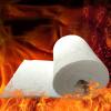 LFFH Ceramic Fiber Insulating BlanketHigh Temperature 1260, Lightweight, for Home Foundries, Knife Making, Fireplace, Propane Forge, Kiln, Wood Stove, Pizza Oven WMEIE (Color : 0.61x1m 30mm) view 3