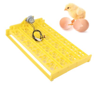 Egg Incubator, 24 Eggs Poultry Hatching Machine Automatic Turning Egg Incubator Egg Tray for Hatching Chicken Duck Goose Quail Birds Turkey Eggs (110V)