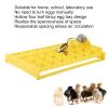 Egg Incubator, 24 Eggs Poultry Hatching Machine Automatic Turning Egg Incubator Egg Tray for Hatching Chicken Duck Goose Quail Birds Turkey Eggs (110V) view 4