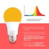 hooga Sleep Light Bulb, Amber Light Bulbs for Sleep Therapy, Blue Light Blocking, 1600K Dim Light Bulbs 7W Equivalent, Mood Soothing Light, E26 A19 Warm Light Bulbs for Bedroom, Nursery, 2 Pack. view 2