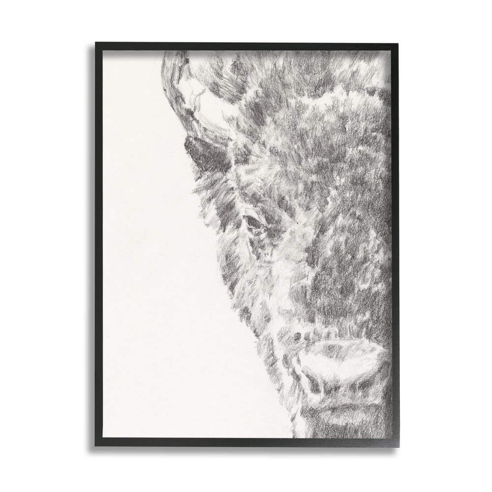 Stupell Industries Detailed Graphite Bison Rural Farm Animal Drawing Framed Wall Art, Design By Ethan Harper